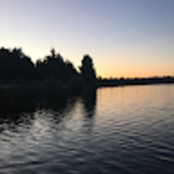 Meet your Posher, Anne - Picture 1 of 1